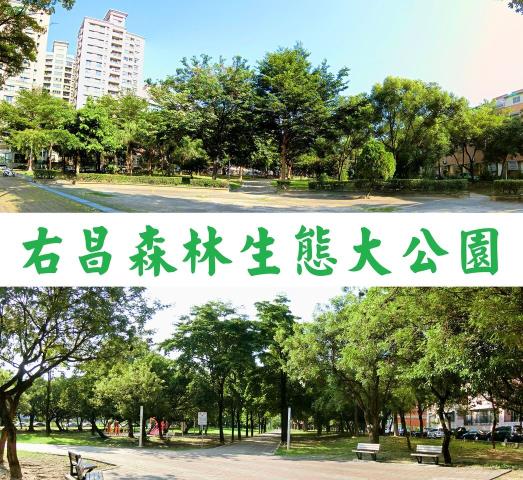 楠梓透天-11