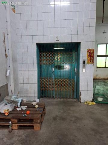 燕巢廠房-12
