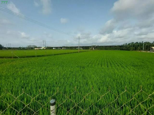 屏東農地-1