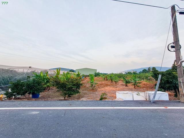岡山農地-3