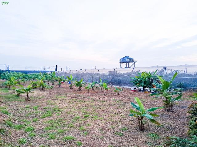 岡山農地-6