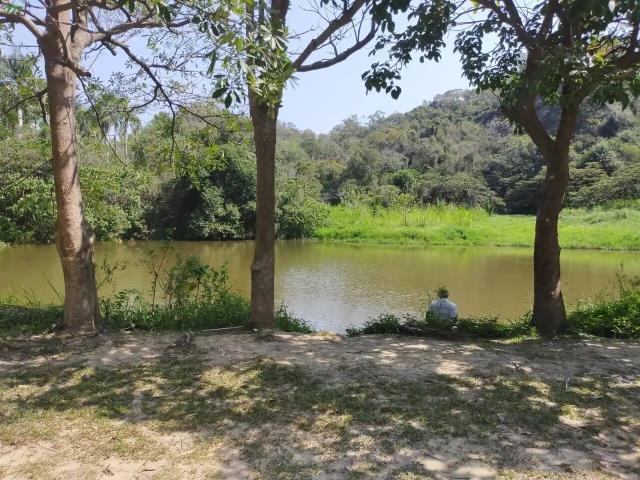 仁武農地-5
