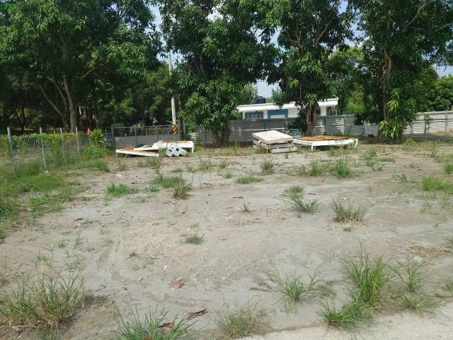燕巢山坡地保育區-4
