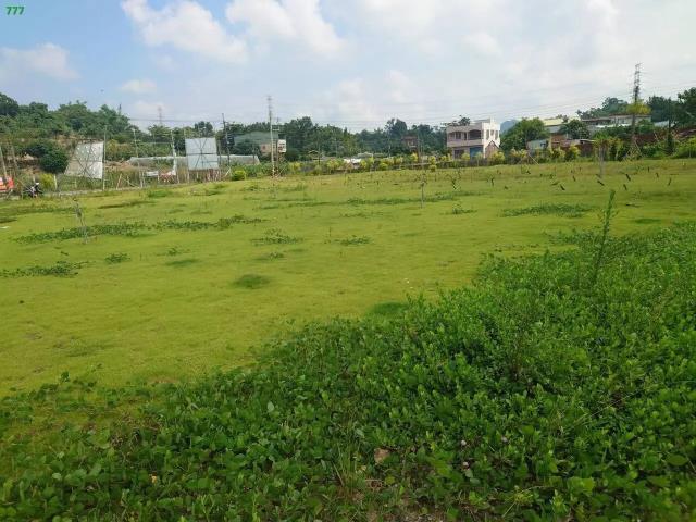 燕巢山坡地保育區-5