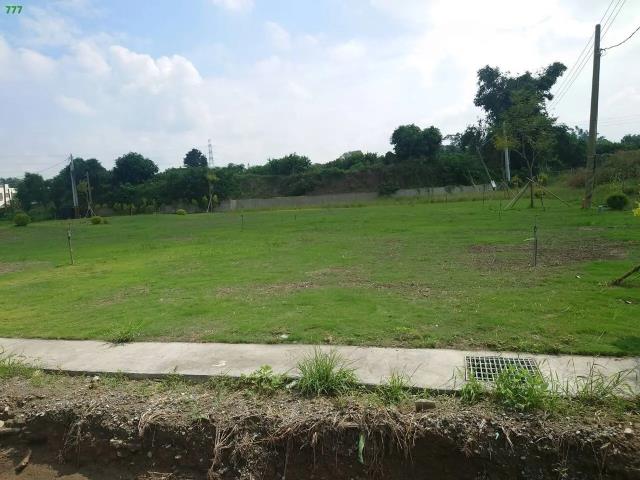 燕巢山坡地保育區-6