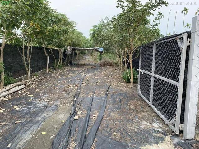 屏東高樹農地-4