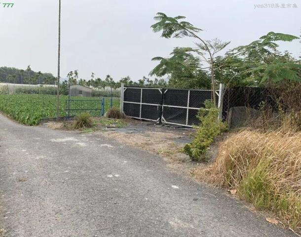 屏東高樹農地-5