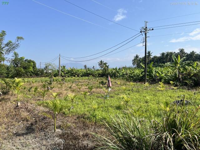 高雄旗山農地-0