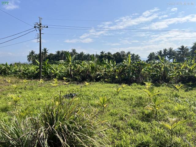 高雄旗山農地-5