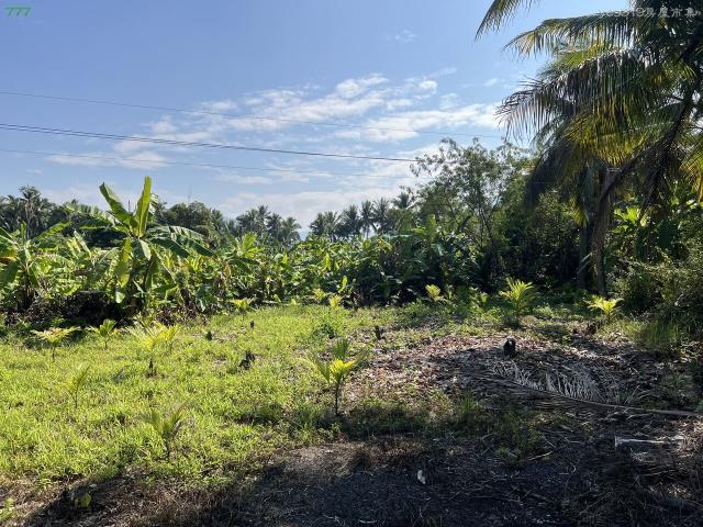 高雄旗山農地-6