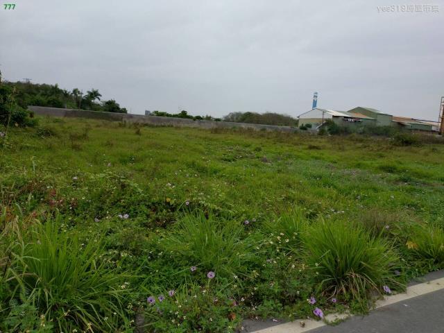 高雄仁武農地-1