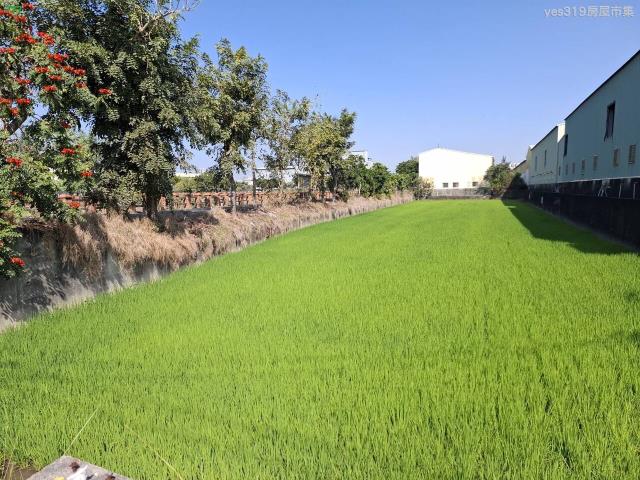 高雄鳥松農地-1