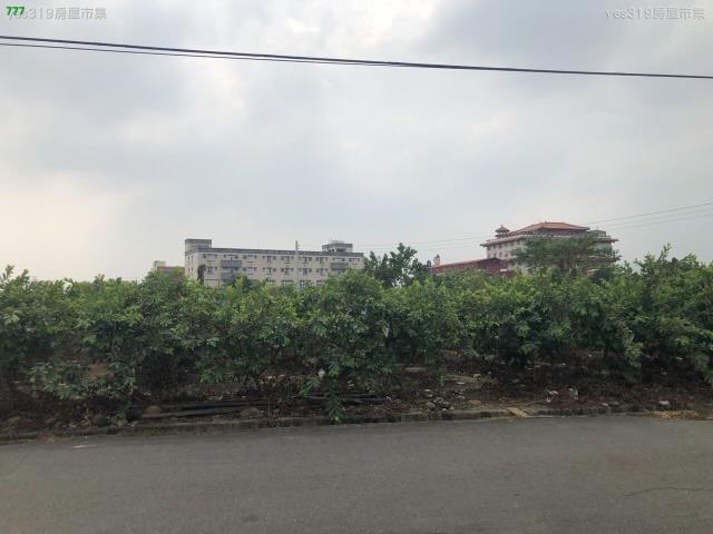 高雄旗山農地-0