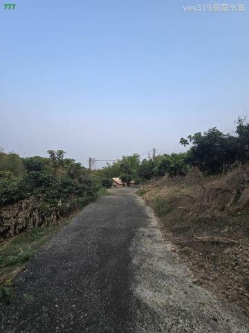 大樹農地-0