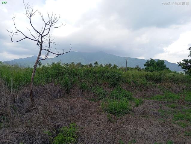杉林農地-0