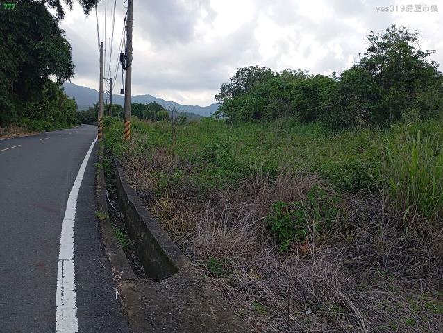 杉林農地-3
